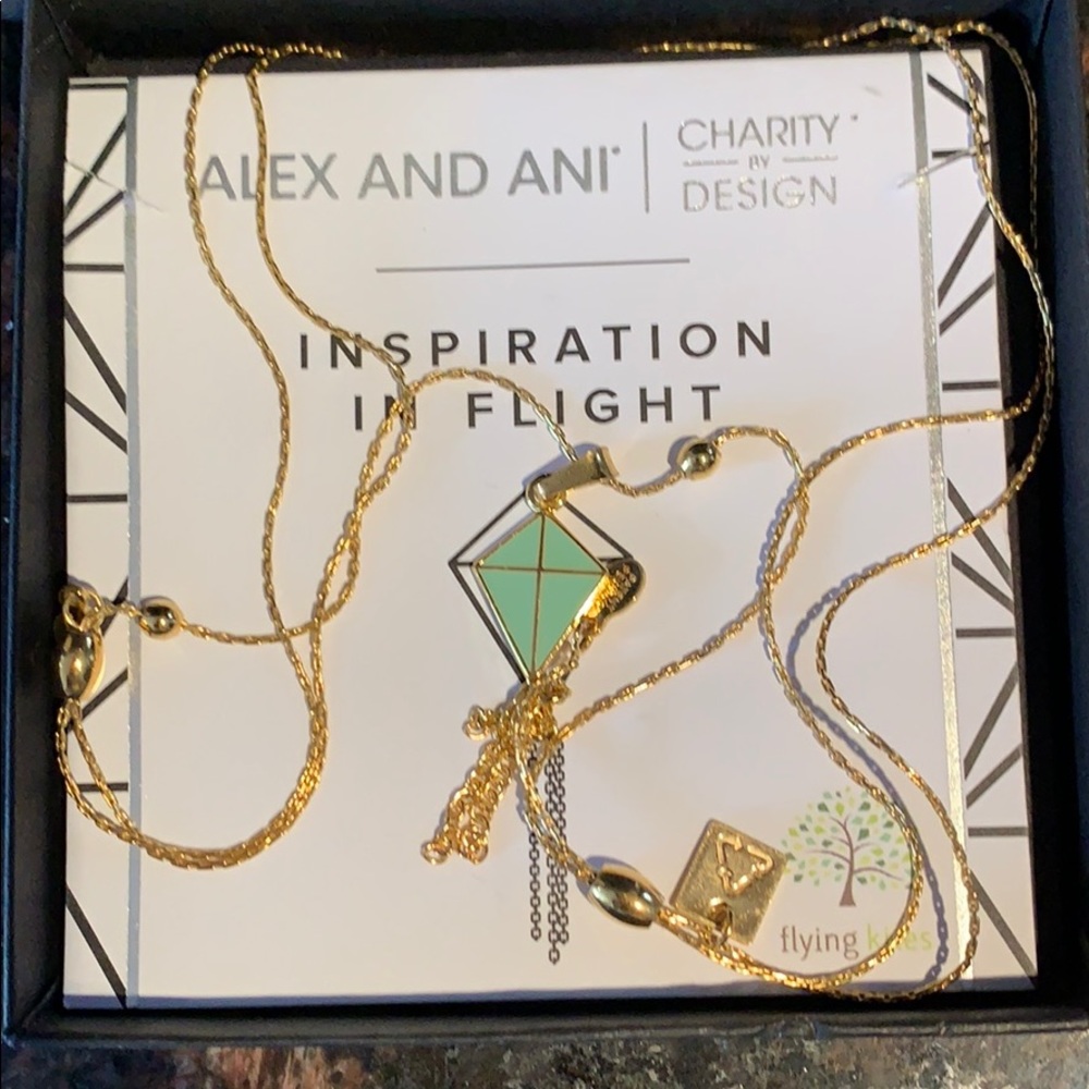 Alex and Ani inspiration adjustable necklace